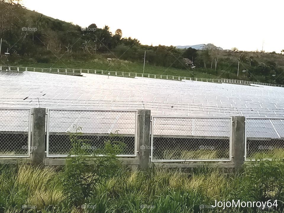 Solar Panel Field