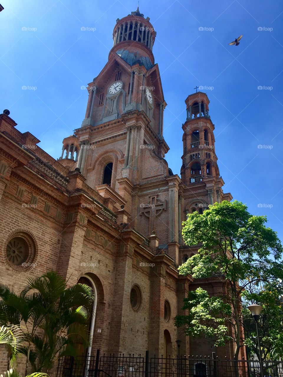 Cathedral church of Palmira