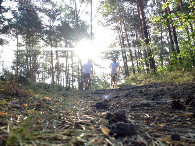 Morning running