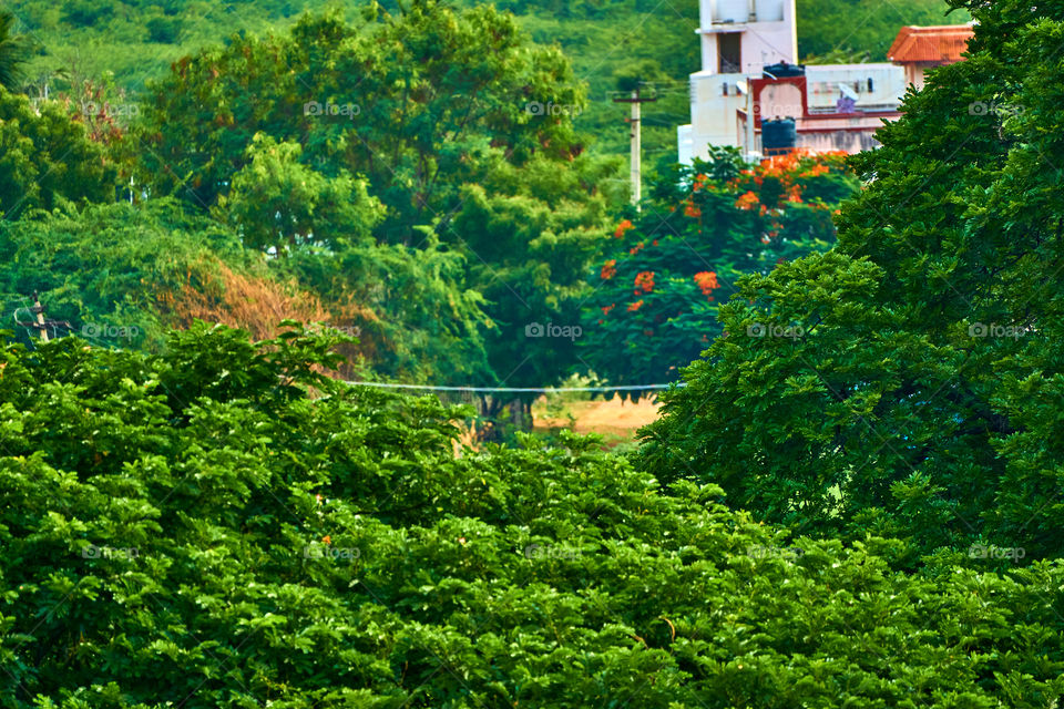 nature - road intersection - morning