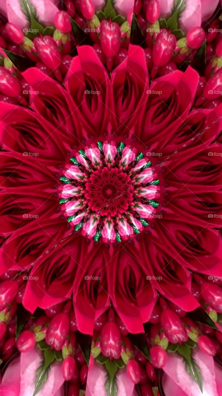 I made this kaleidoscope from roses at a Whole Foods market in North Austin Texas. Redbubble clothing and home furnishing-Gifterphoenix http://www.redbubble.com/people/gifterphoenix Facebook-Gifter Phoenix of Austin Texas, Instagram-@gifterphoenix,YouTube Phoenix Gifter, foap-gifter.phoenix, Tumblr-gifterphoenixatx, Twitter-@gifter_phoenix,Flickr (nude showcase artwork)-gifterphoenix,OGQ backgroundsHD-gifter2phoenix, Yahoo email- gifterphoenix@yahoo.com, kik- Phoenix Gifter