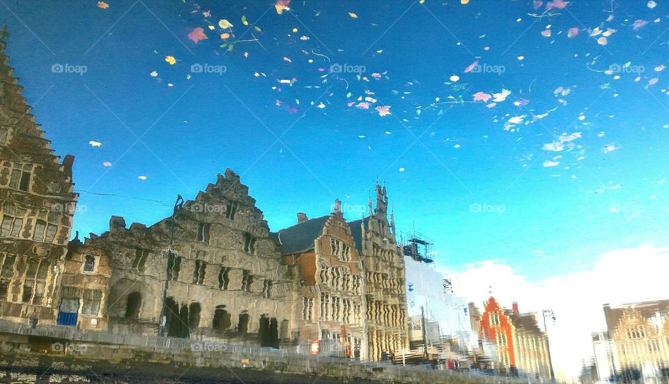 Gent reflected on the water
