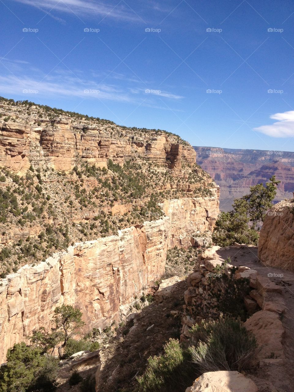 More good Grand Canyon stuff