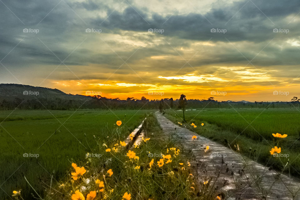 About morning which is never tired along with time.