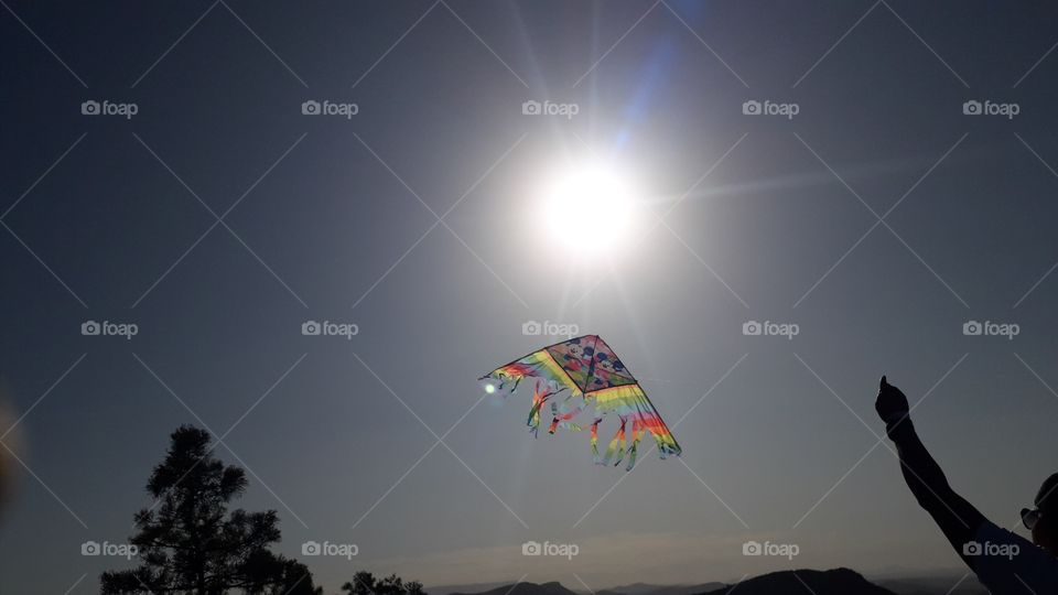 sun kite