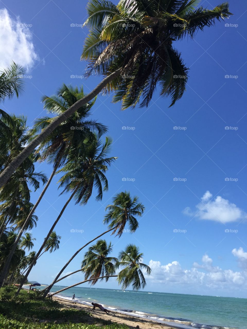 Paradise Beach at Patacho Beach in São Miguel dos Milagres, Alagoas, Brazil