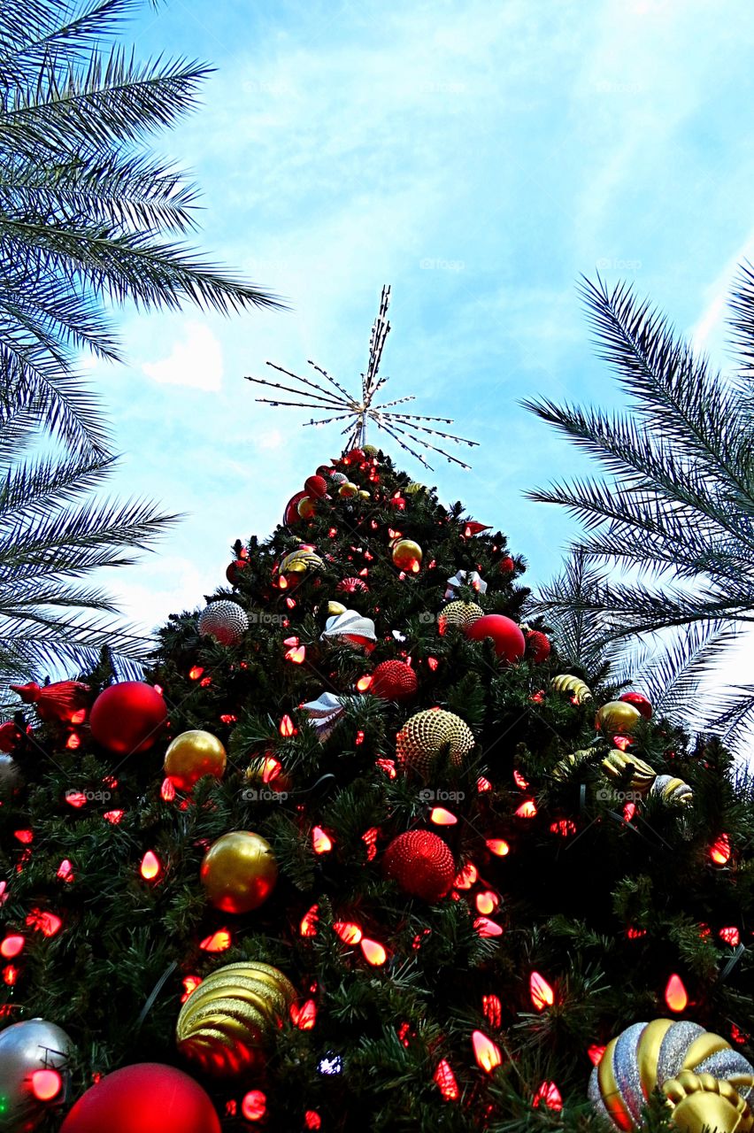 Christmas tree next to a palm tree.