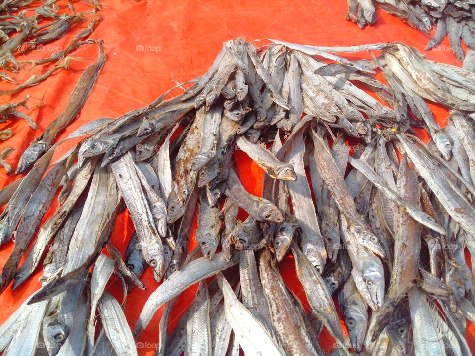 Dry Fish