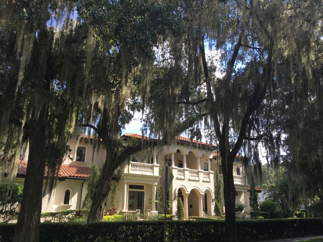 Estate located in Winter Park, Florida. With old oak trees and hanging Moss.