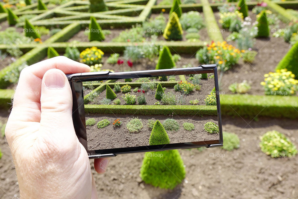 Camera phone . Taking a picture of a garden in an English stately home with a smartphone cell phone mobile phone camera 