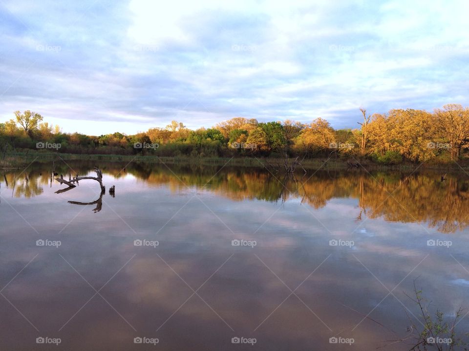 Scenic view of trees reflected on oklahoma Lake