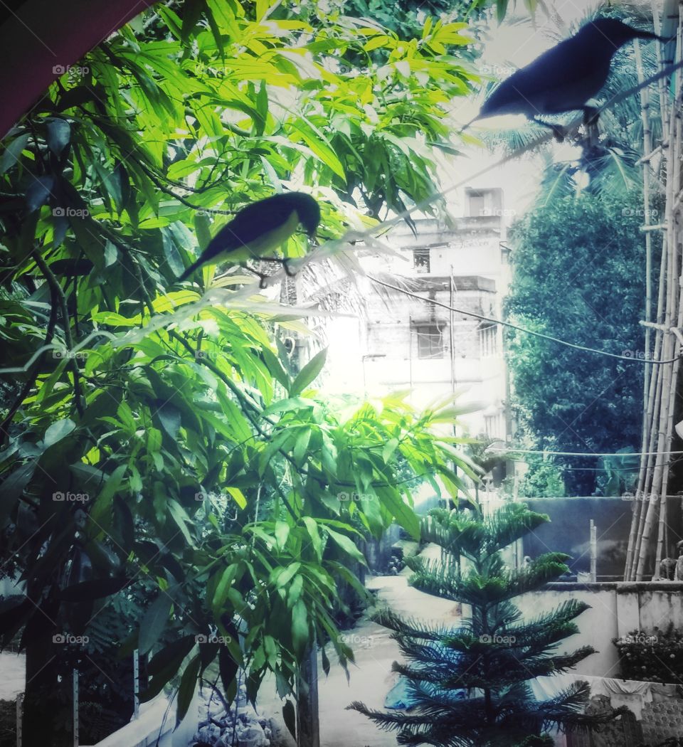 Collecting Memories !!!