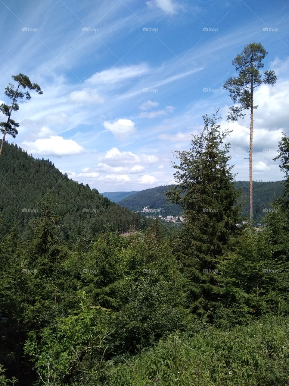 Bad Wildbad Schwarzwald