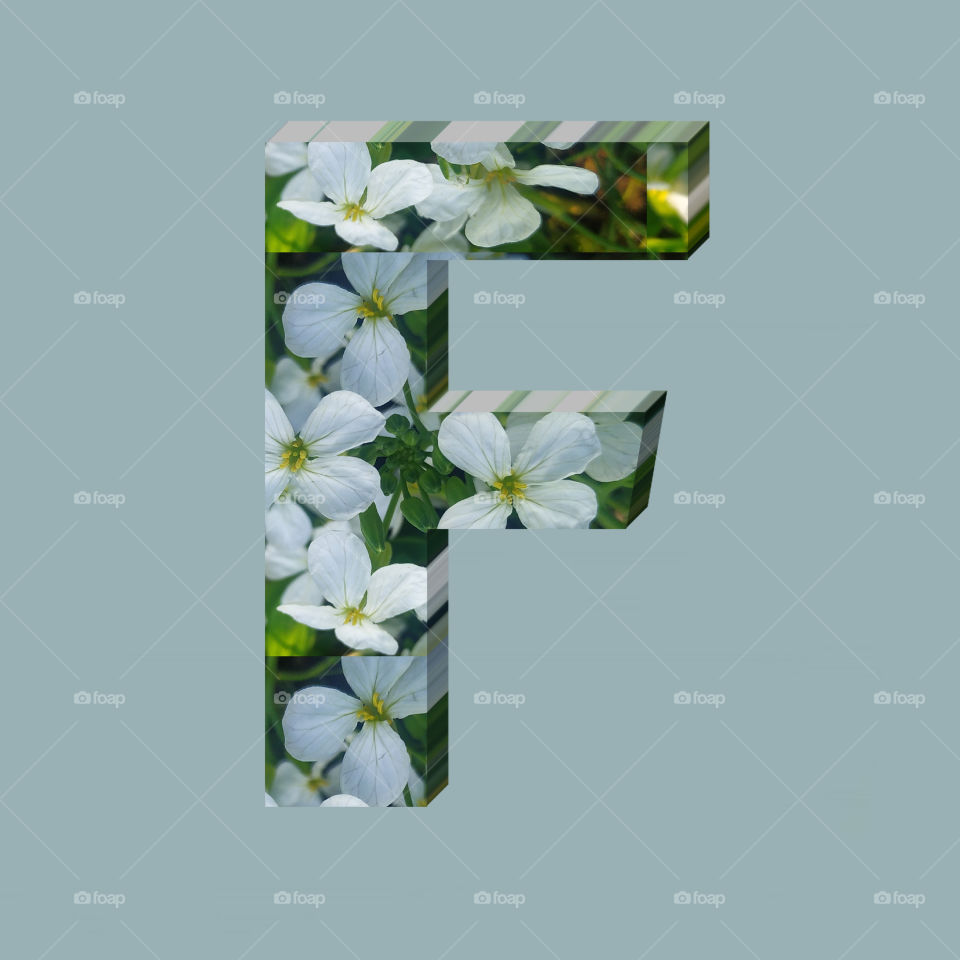 F alphabet 3d rendering of vertical white flowers alphabet