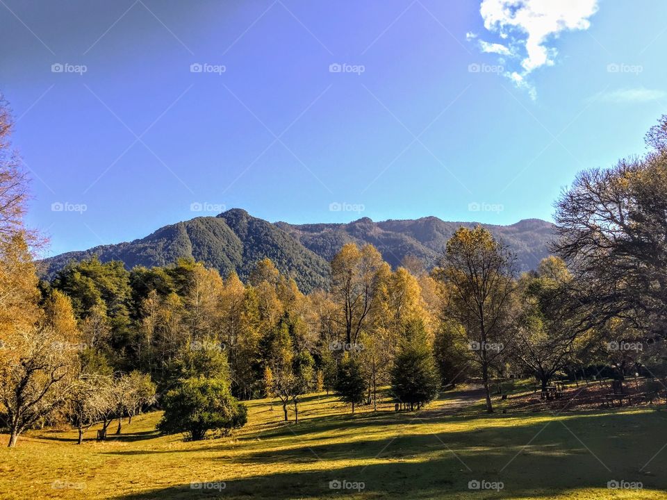 Hiking in southern Chile 