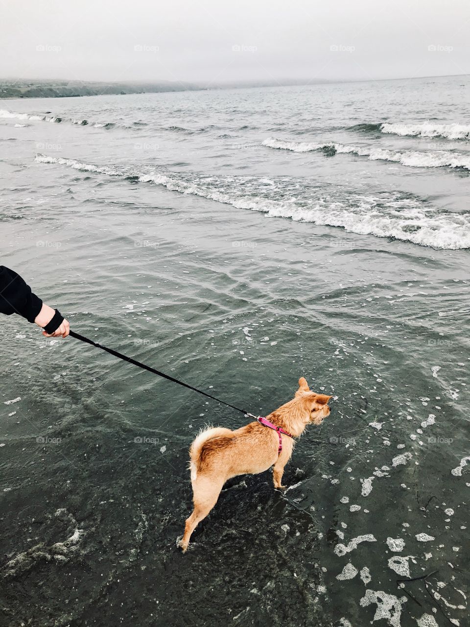 Beach Vibes 