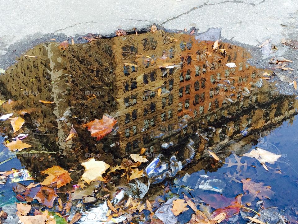 Puddle in NYC 