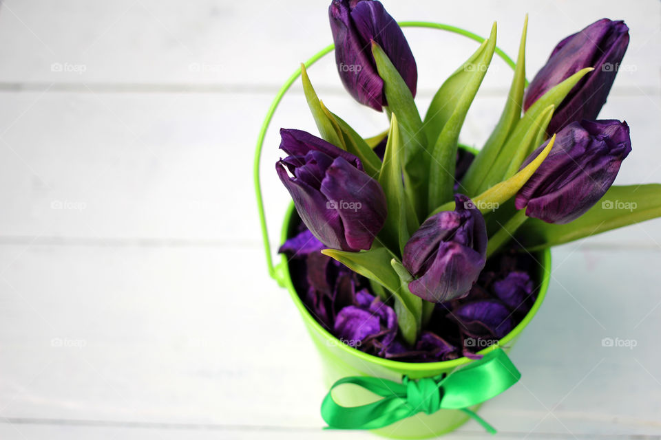 Tulips purple: congratulations, March 8 (International Women's Day), February 14th (Valentine's Day), holiday