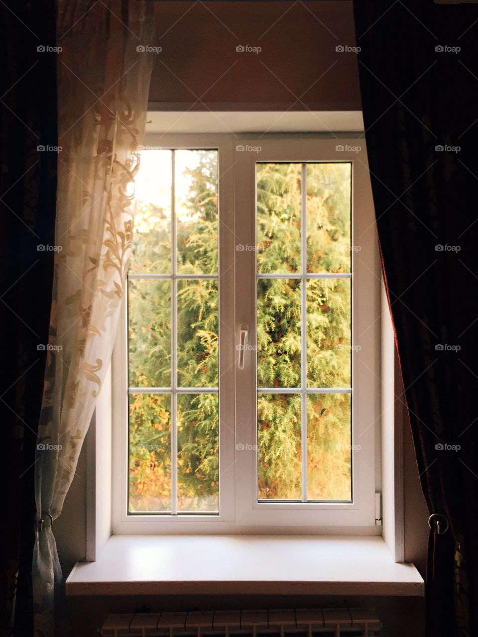 Window, House, Indoors, No Person, Room
