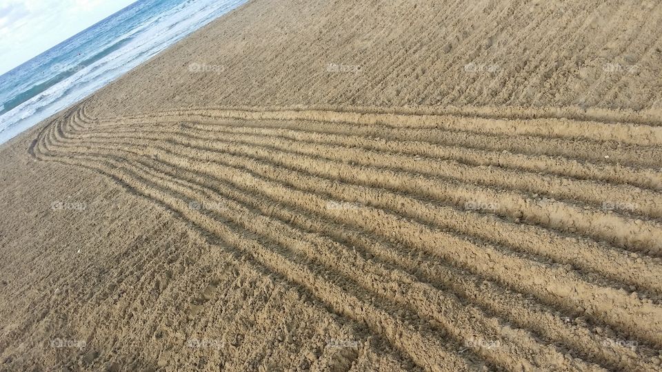 markings in the sand