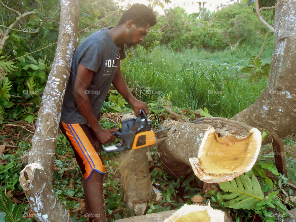 Cutting Trunk of Tree