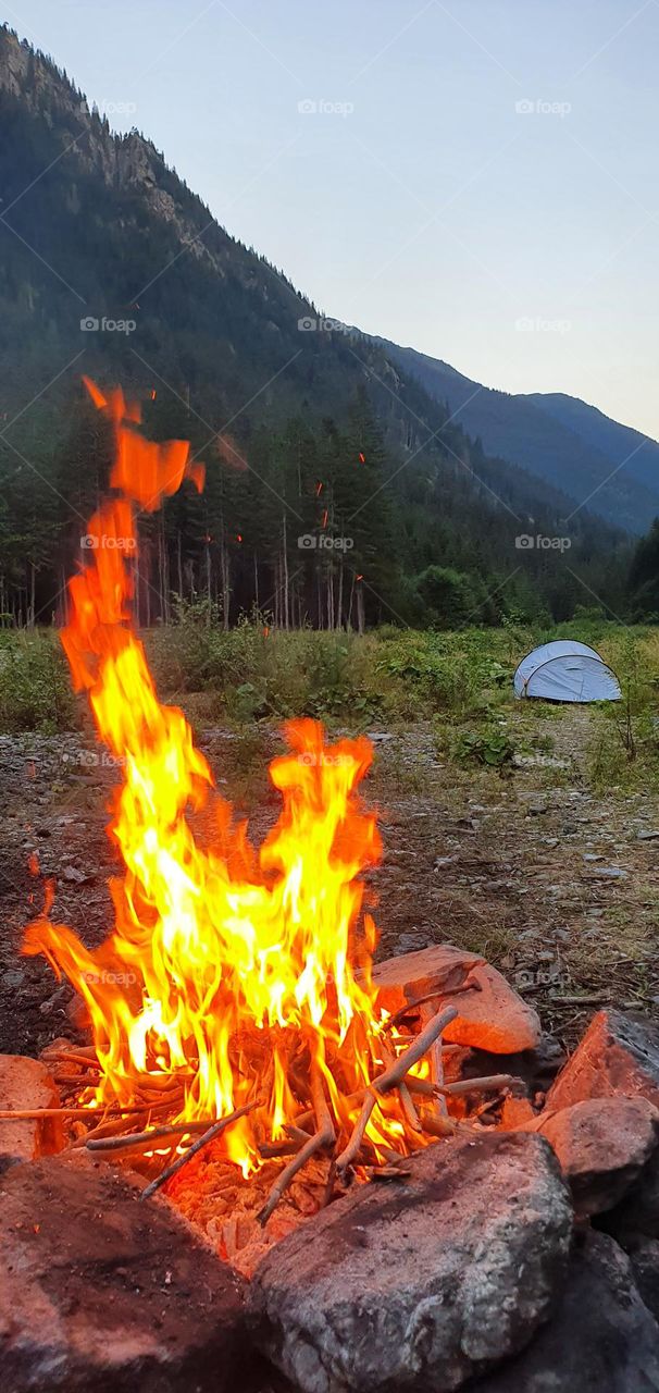 Camping near Stana lui Burnei