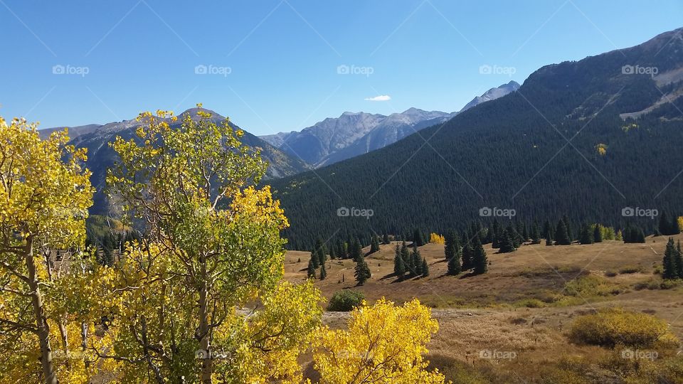 No Person, Landscape, Fall, Tree, Wood