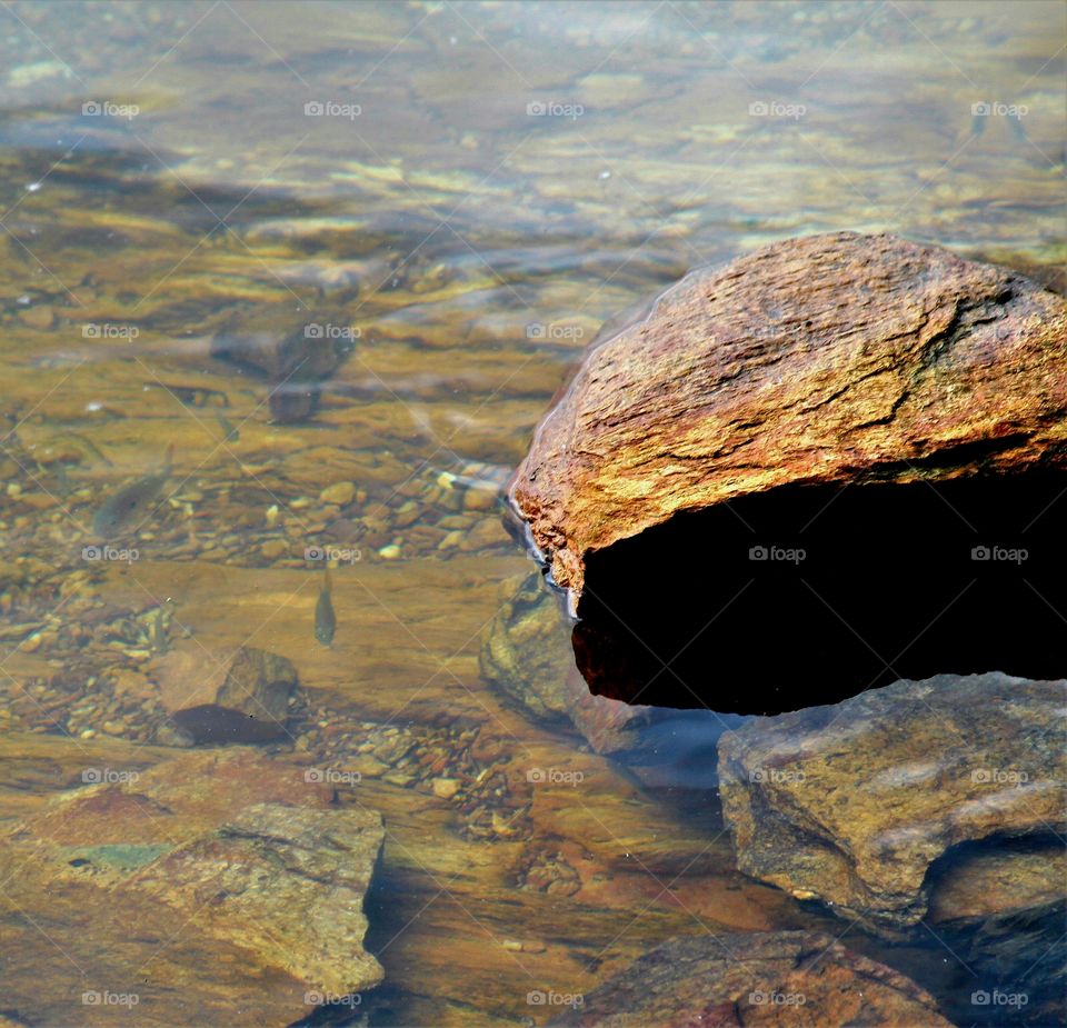 fish hidden next to a boulder half submerged in the water.