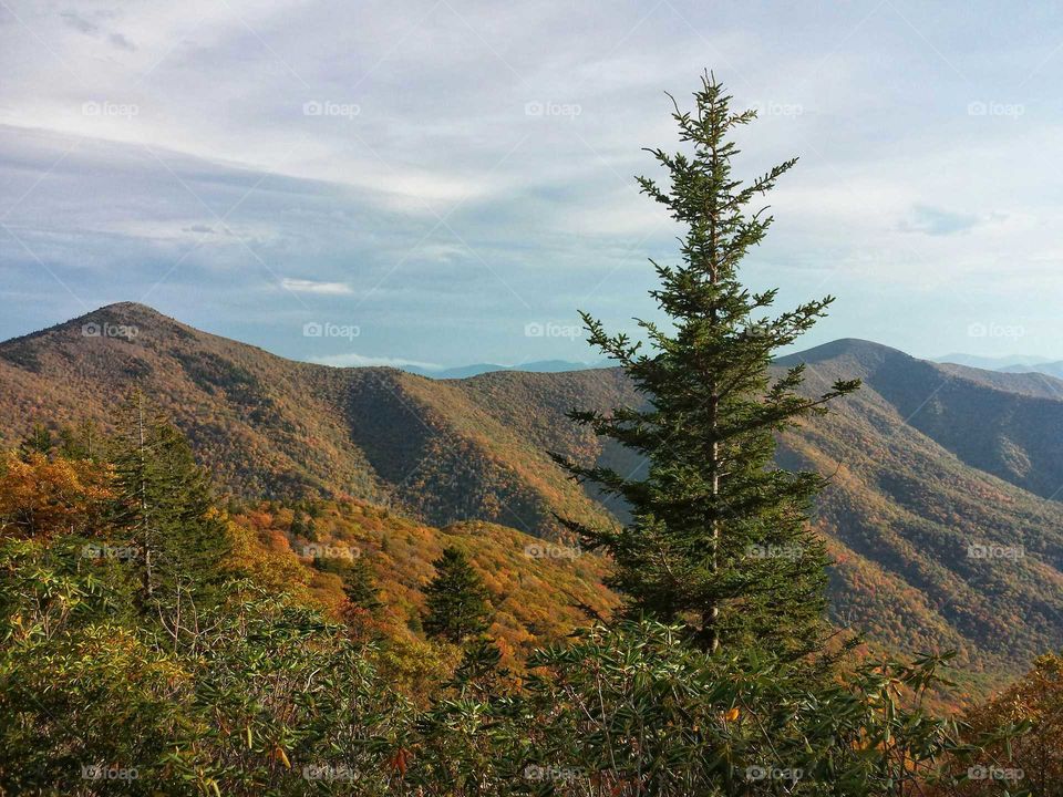 North Carolina mountains