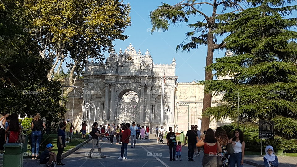 Dolmabahçe Beşiktaş