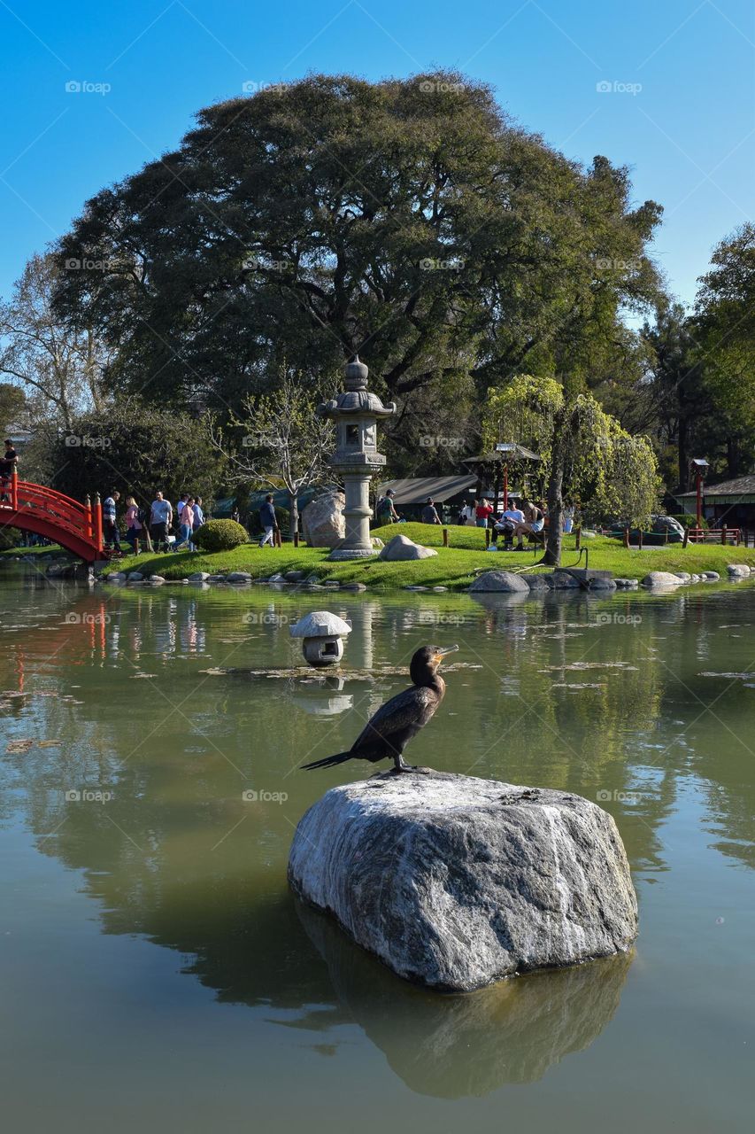 Garden japonese Buenos Aires Argentina