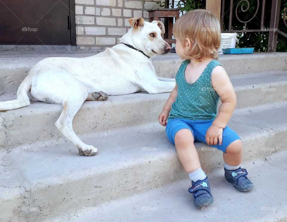 little boy looking at the dog