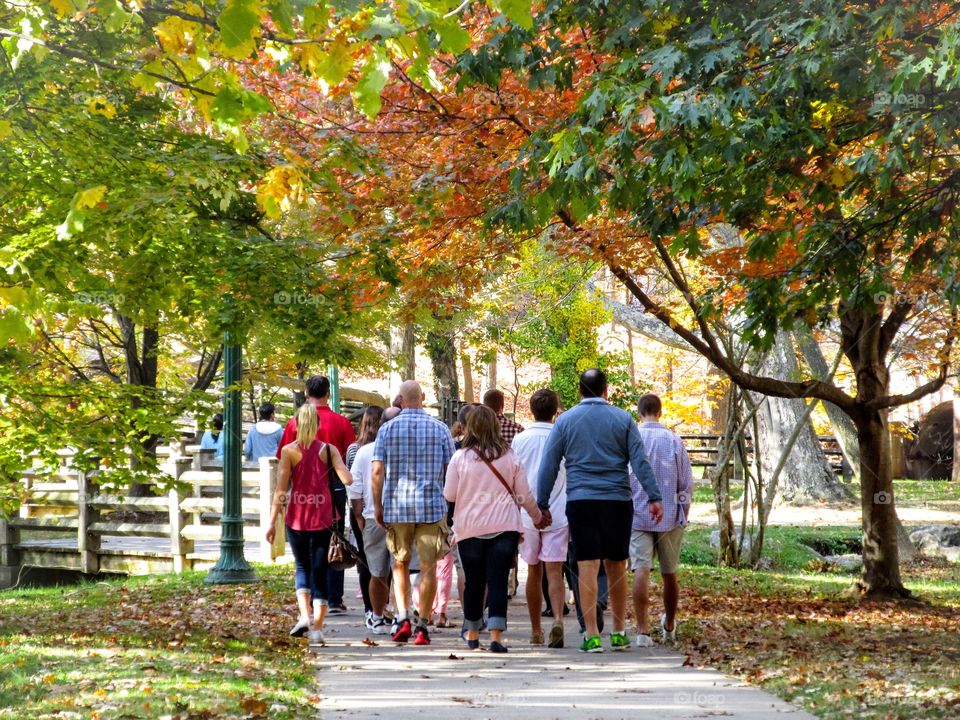 Autumn Stroll In The Park. Autumn Stroll In The Park