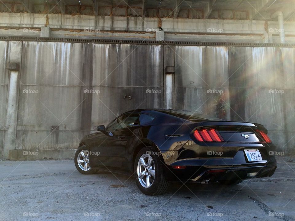 2015 Ford Mustang Ecoboost rear 75