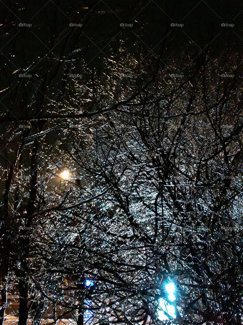 light shining through ice covered  tree