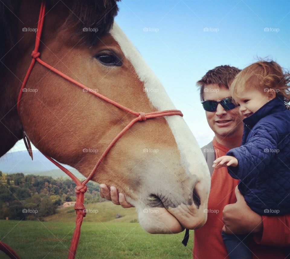 Dad and child with horse