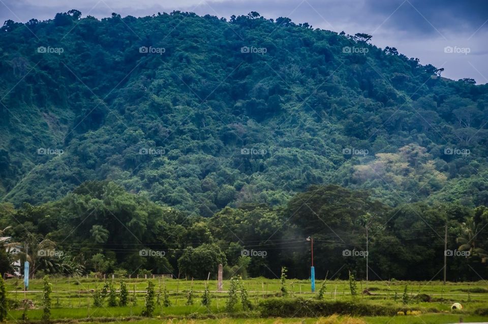 Province: a life in paradise