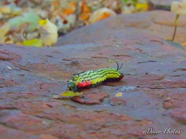 Crawling Around