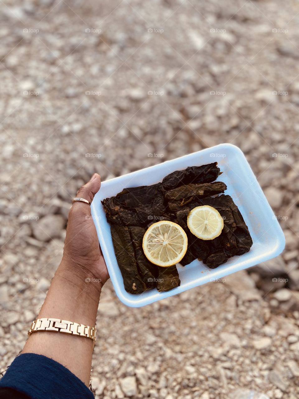 Favorite grape leaves 🍁