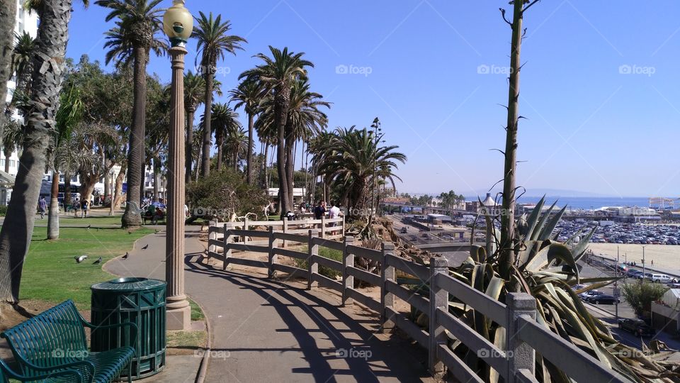 Santa Monica beach, USA