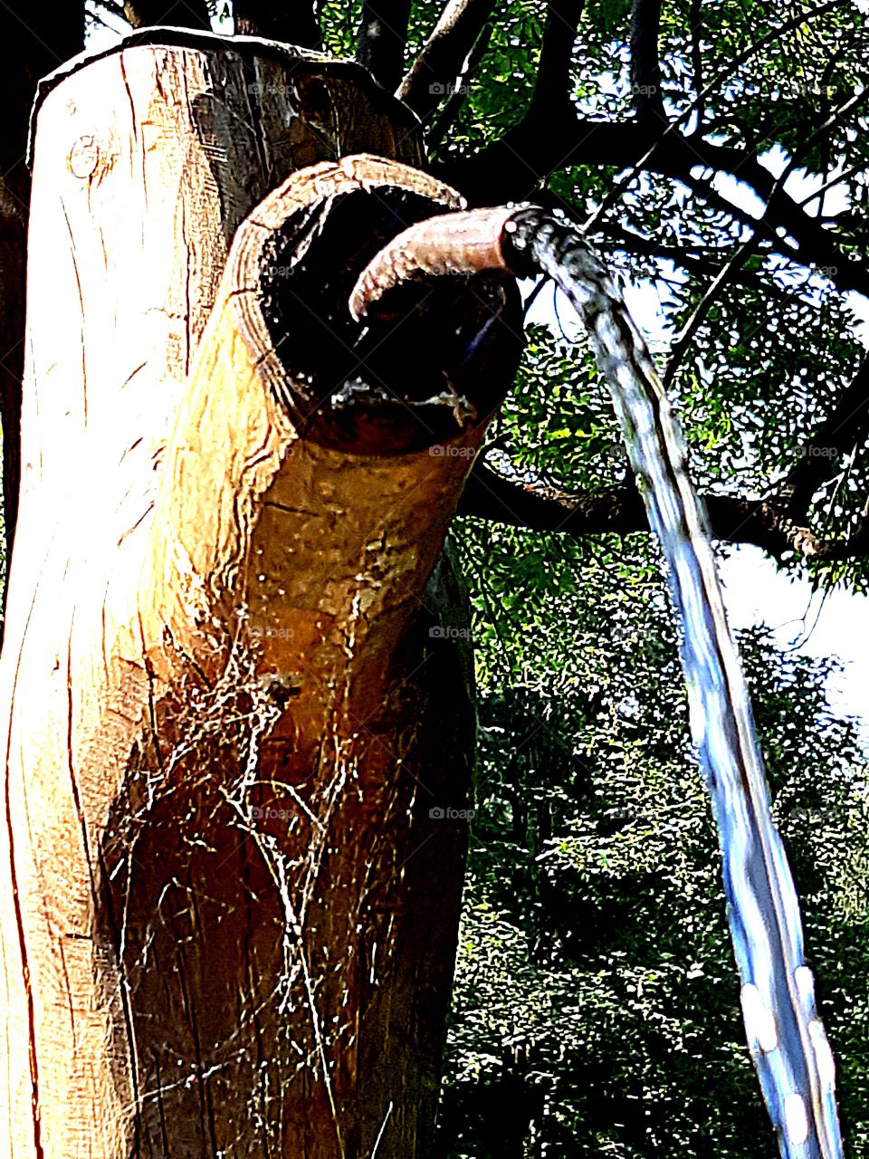 Wooden Fountain