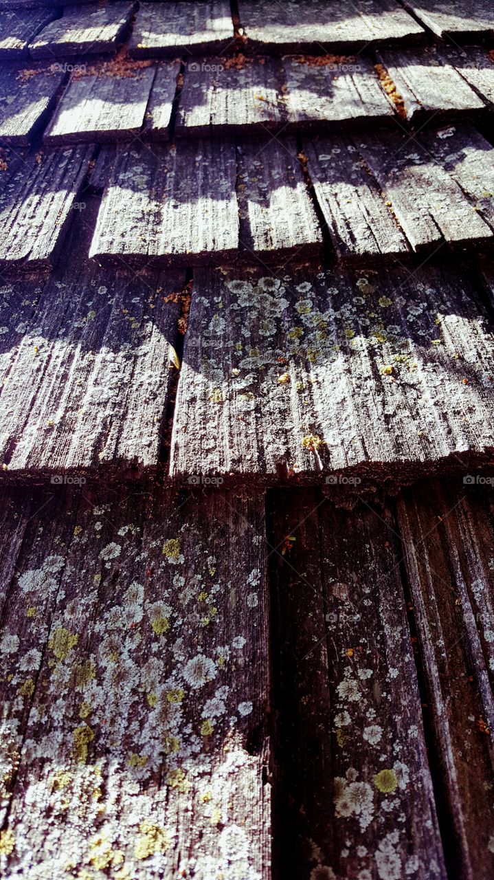 old wood roof