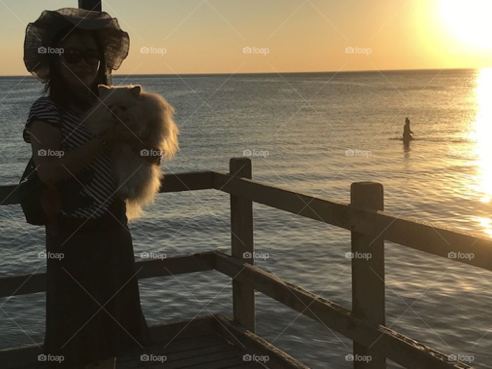 View of the sunset at Mentone Beach in Melbourne Australia with the cuties Pomerania 