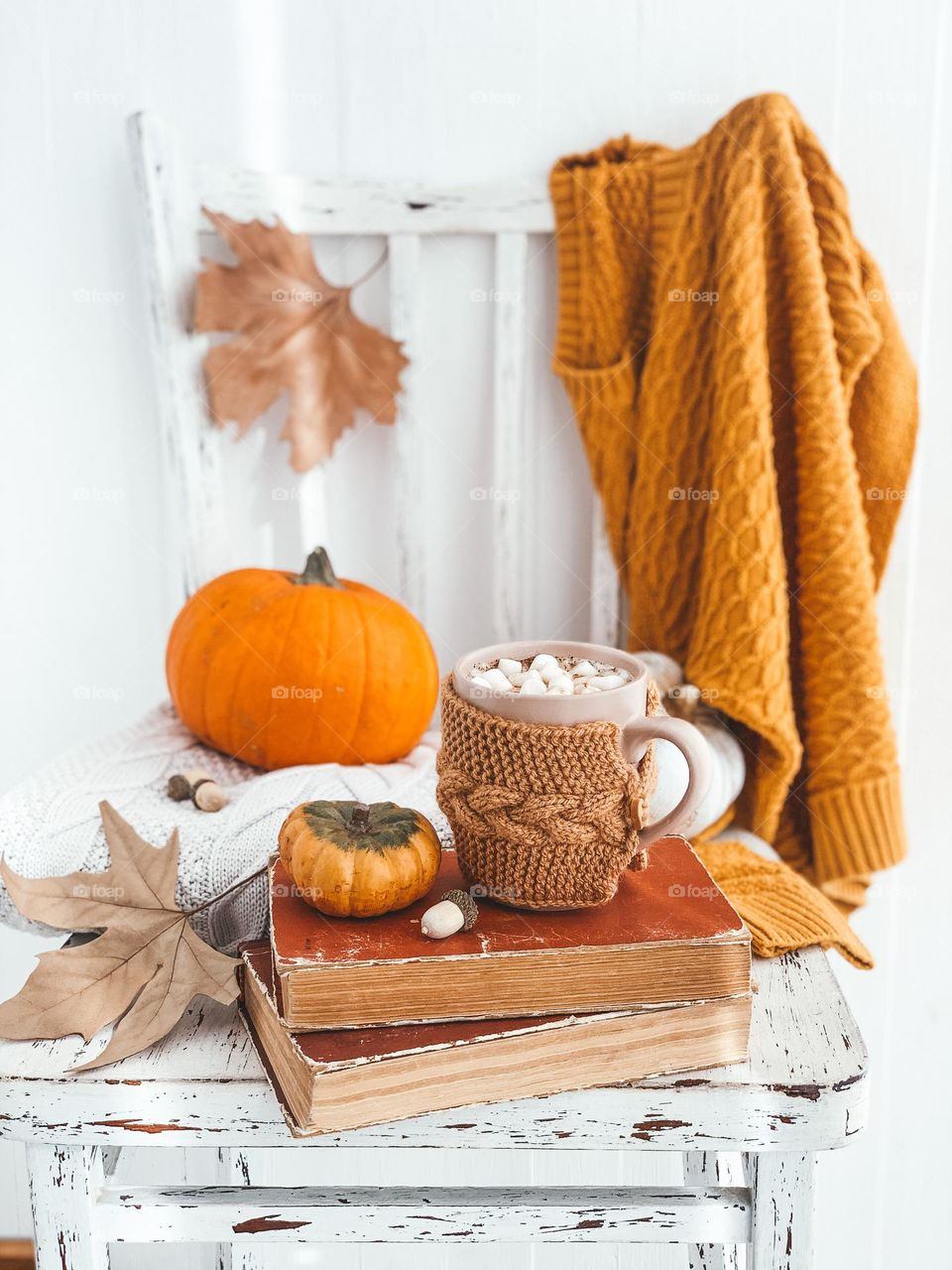 Autumn photography. Pumpkins