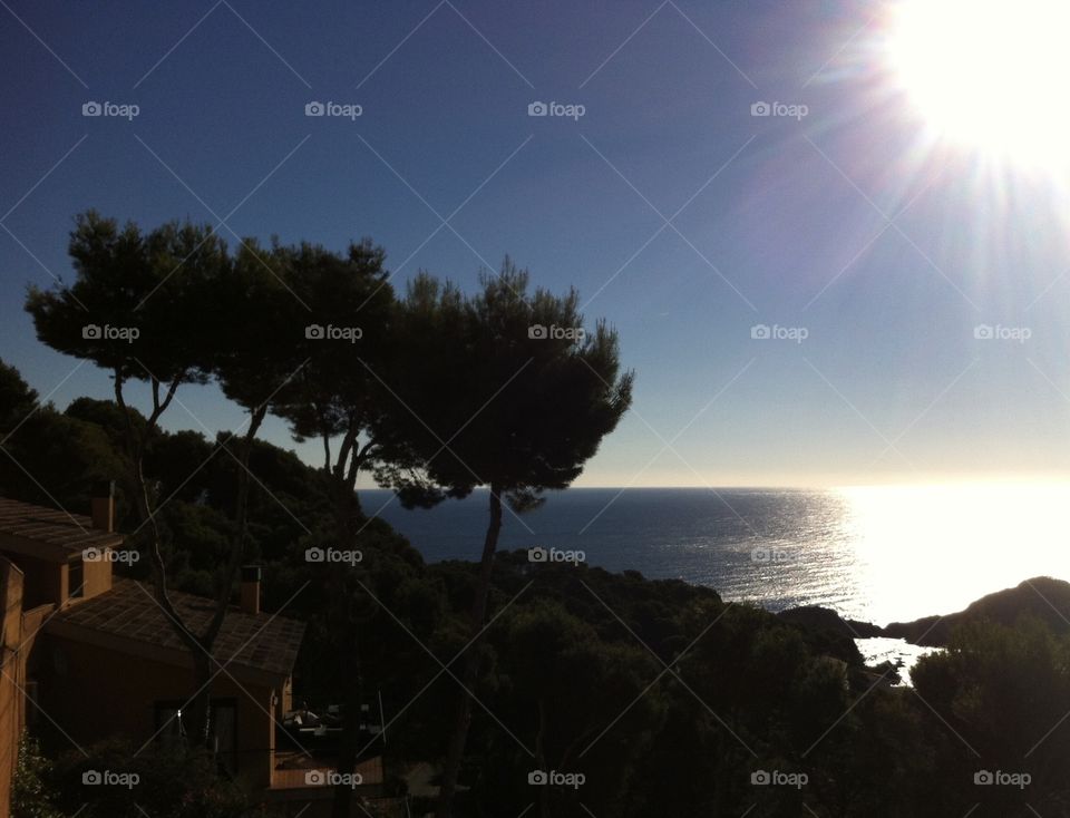 Sunshine on seashore