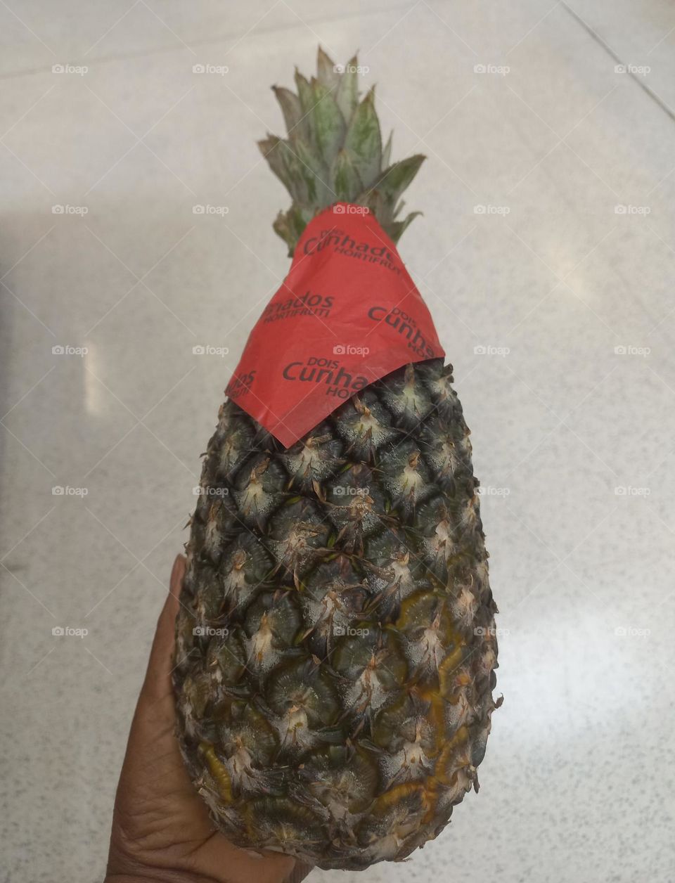 Abacaxi a rainha das frutas. Na Inglaterra,  a partir do século 17 iniciou-se  o cultivo do abacaxi em estufas preparadas, para manter a temperatura  equivalente   à Tropical, de que a planta necessita para crescer.