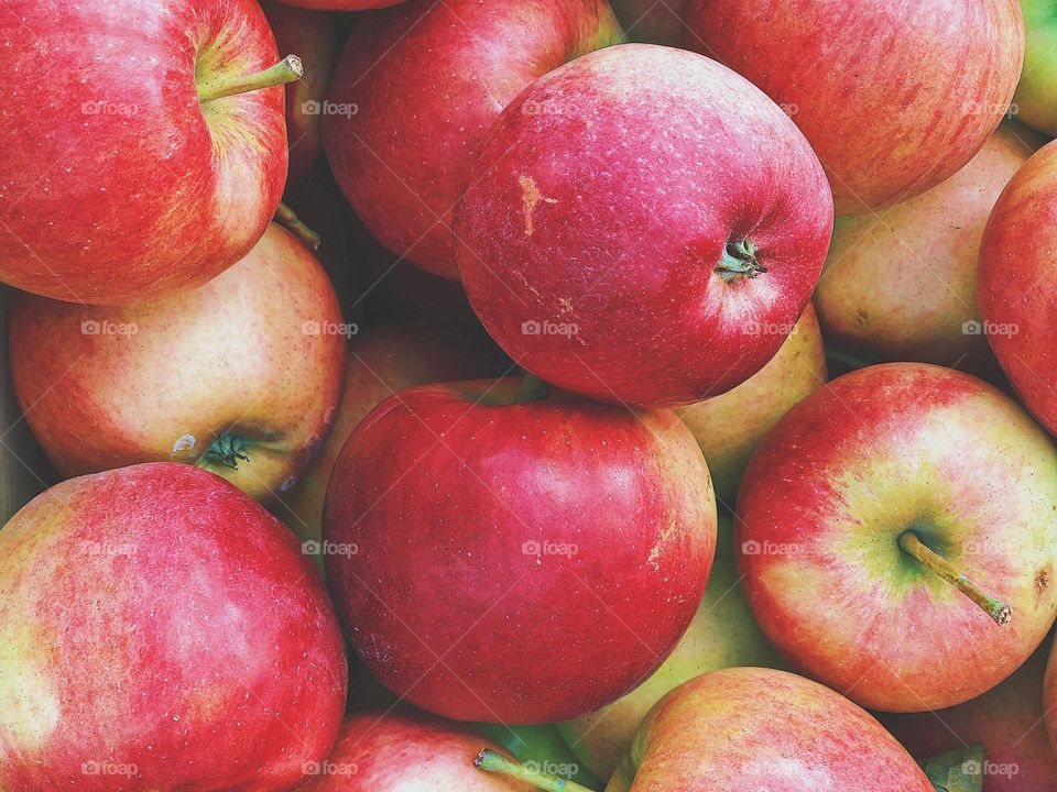 Apples at a produce stand, circular fruits, circles in everyday life, apples in a bin, fall time in the Midwest, apples for sale, apples at a farmers market, red apples piled high