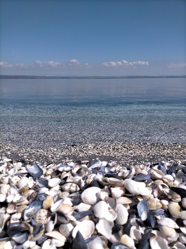 Mer de Coquillages
