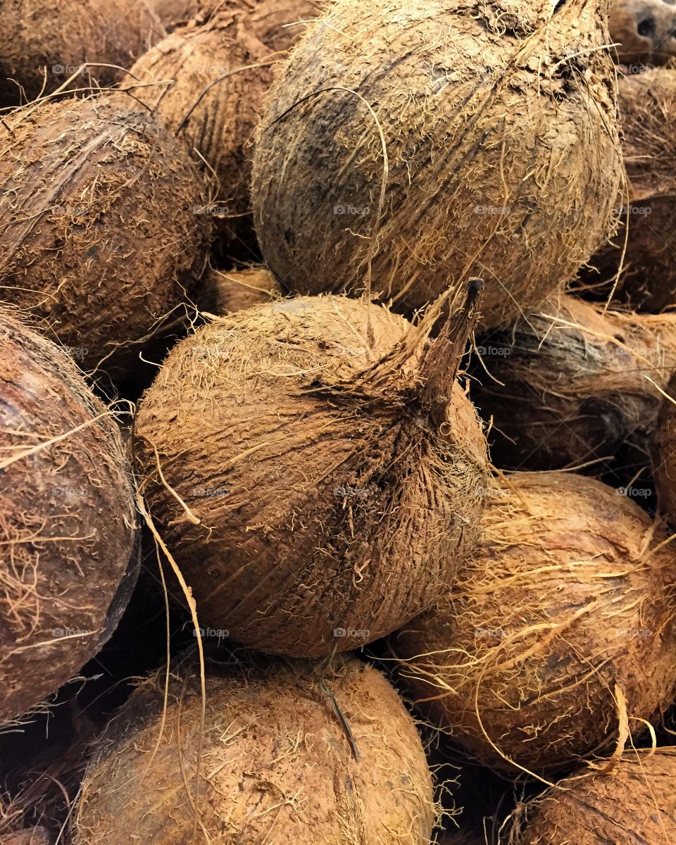 Coconut 