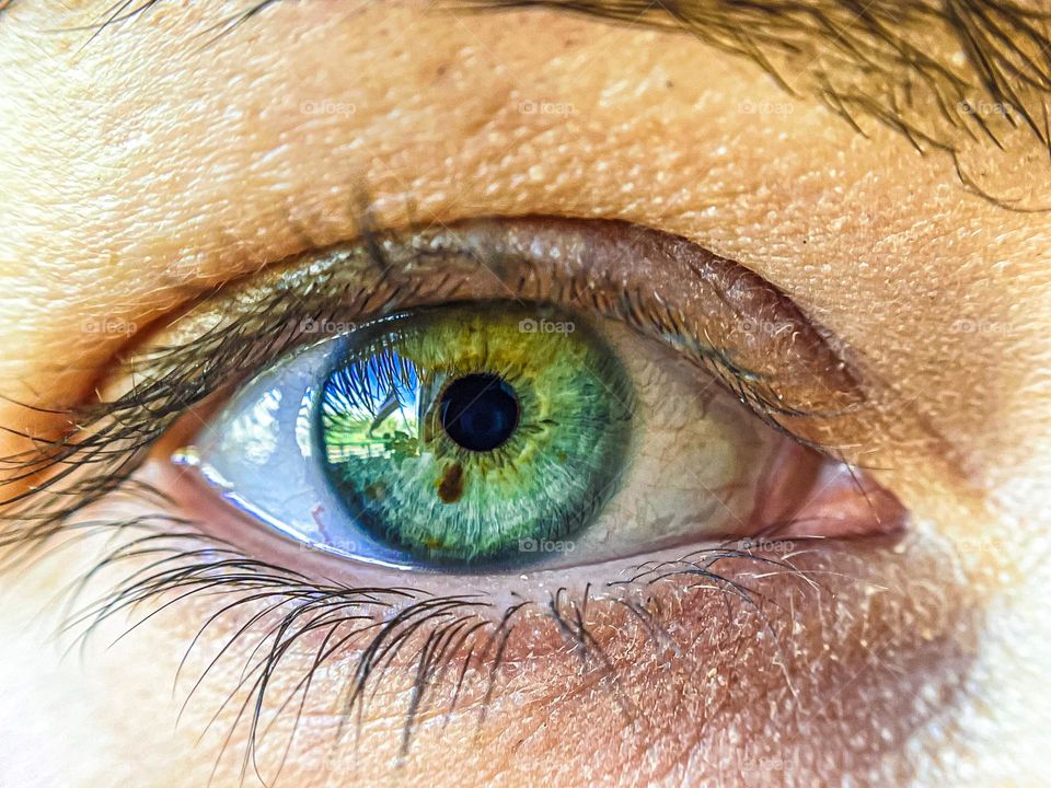 Eye where can see the flag of Latvia 🇱🇻